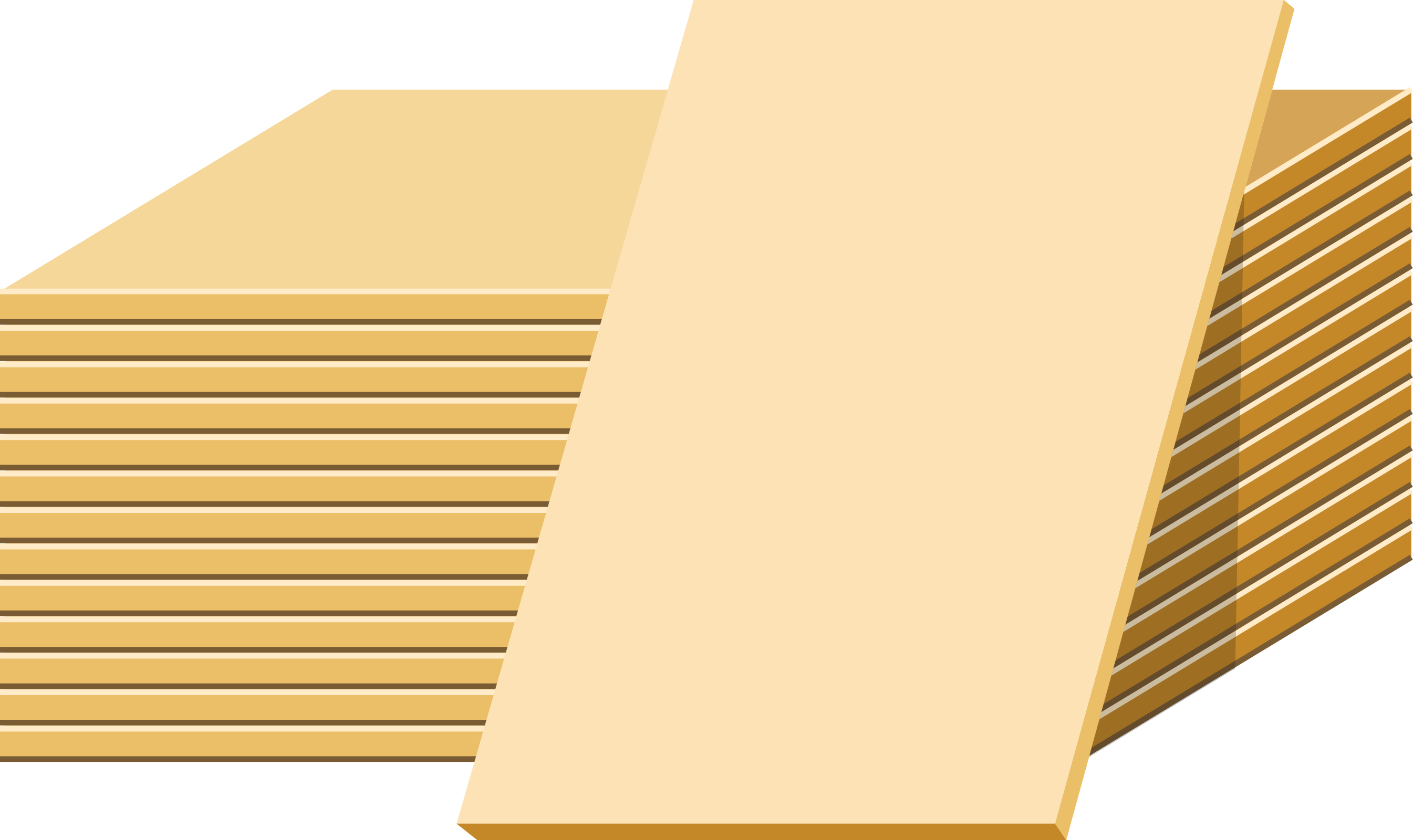 Active User